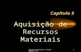 Petrônio Martins & Paulo Renato Alt Editora Saraiva1 Capítulo 5 Aquisição de Recursos Materiais.