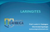 Prof. Lucio A. Castagno Otorrinolaringologia luciocastagno@hotmail.com.