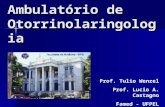 Ambulatório de Otorrinolaringologia Prof. Tulio Wenzel Prof. Lucio A. Castagno Famed - UFPEL.