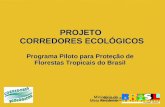 Programa Piloto para Proteção de Florestas Tropicais do Brasil PROJETO CORREDORES ECOLÓGICOS.