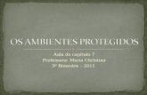 Aula do capítulo 7 Professora: Maria Christina 3º Bimestre – 2011.