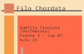 Filo Chordata Subfilo Craniata (Vertebrata) Frente 3 – cap.07 Aula 23.