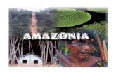 O complexo geoeconômico da Amazônia corresponde a cerca de 60% do território nacional, onde vivem apenas 7% de toda a população nacional, figura como.