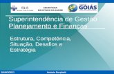 Superintendência de Gestão Planejamento e Finanças Estrutura, Competência, Situação, Desafios e Estratégia Antonio BorghettiJUNHO/2011.