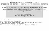 A matriz energética da União Europeia e o caso particular dos biocombustíveis: Diagnóstico e Perspectivas Rio de Janeiro 12 de Março de 2010 Carla Guapo.