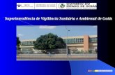 Superintendência de Vigilância Sanitária e Ambiental de Goiás.