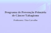 Programa de Prevenção Primária de Câncer/Tabagismo Professora: Tina Carvalho.