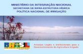 MINISTÉRIO DA INTEGRAÇÃO NACIONAL SECRETARIA DE INFRA-ESTRUTURA HÍDRICA POLÍTICA NACIONAL DE IRRIGAÇÃO Arranjos Legais e Institucionais para o Desenvolvimento.