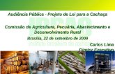 Audiência Pública - Projeto de Lei para a Cachaça Comissão de Agricultura, Pecuária, Abastecimento e Desenvolvimento Rural Brasília, 22 de setembro de.