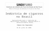 Indústria de cigarros no Brasil Apresentação para a Comissão de Agricultura, Pecuária, Abastecimento e Desenvolvimento Rural. Câmara dos Deputados 10 de.