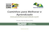 Caminhos para Melhorar o Aprendizado () Setembro de 2011 Ricardo Paes de Barros (SAE)