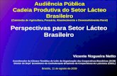 Vicente Nogueira Netto Coordenador da Câmara Temática de Leite da Organização das Cooperativas Brasileiras (OCB) Diretor do Dept° Econômico da Confederação.