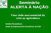 Uma visão macrosetorial da crise na agricultura Getúlio Pernambuco Chefe do Departamento Econômico da CNA Seminário ALERTA À NAÇÃO.
