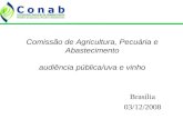 Comissão de Agricultura, Pecuária e Abastecimento audiência pública/uva e vinho Brasília 03/12/2008.