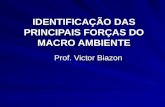 IDENTIFICAÇÃO DAS PRINCIPAIS FORÇAS DO MACRO AMBIENTE Prof. Victor Biazon.