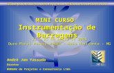 MINI CURSO Instrumentação de Barragens 21 a 25 de abril de 2008 Ouro Minas Palace Hotel – Belo Horizonte – MG André Jum Yassuda Diretor BUREAU de Projetos.