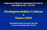 Meningoencefalites Crônicas e Neuro-AIDS Alexandre Prehn Zavascki, MD, PhD Serviço de Infectologia HSL-PUCRS Programa de Educação Continuada do Serviço.