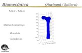 Biomecânica (Noritomi / Sollero) Malhas Complexas Materiais. Complexos MEF / MEC.