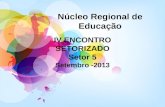 Núcleo Regional de Educação IV ENCONTRO SETORIZADO Setor 5 Setembro -2013.