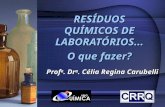 RESÍDUOS QUÍMICOS DE LABORATÓRIOS... O que fazer? Prof a. Dr a. Célia Regina Carubelli.