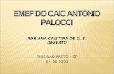 ADRIANA CRISTINA DE O. S. DEZERTO RIBEIRÃO PRETO – SP 04-06-2009.