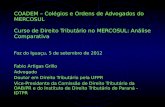 COADEM – Colégios e Ordens de Advogados do MERCOSUL Curso de Direito Tributário no MERCOSUL: Análise Comparativa Foz do Iguaçu, 5 de setembro de 2012 Fabio.