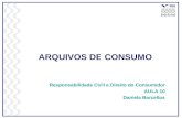 ARQUIVOS DE CONSUMO Responsabilidade Civil e Direito do Consumidor AULA 10 Daniela Barcellos.