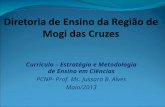 Currículo – Estratégia e Metodologia de Ensino em Ciências PCNP- Prof. Ms. Jussara B. Alves Maio/2013.