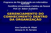 1 GERENCIAMENTO DO CONHECIMENTO DENTRO DA ORGANIZAÇÃO Ana Carolina M. Pilatti Simone N. M. Ferreira Programa de Pós-Graduação em Informática Aplicada.