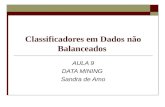 Classificadores em Dados não Balanceados AULA 9 DATA MINING Sandra de Amo.
