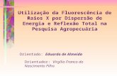 Utilização da Fluorescência de Raios X por Dispersão de Energia e Reflexão Total na Pesquisa Agropecuária Orientado: Eduardo de Almeida Orientador: Virgílio.