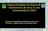 Desenvolvimento da técnica de fluorescência de raios X com microssonda ( -XRF) Doutorando: Richard Maximiliano da Cunha e Silva Orientador: Virgílio Franco.
