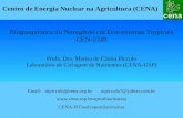 Email: mpiccolo@cena.usp.br mpiccolo7@yahoo.com.br  CENA-NT/web/apostilas/marisa Biogeoquímica do Nitrogênio em Ecossistemas.