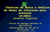 Técnicas de Busca e Análise de Genes de Interesse pela internet (in silico) Antonio Figueira Centro de Energia Nuclear na Agricultura Universidade de São.