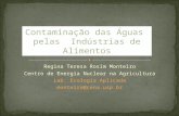 Regina Teresa Rosim Monteiro Centro de Energia Nuclear na Agricultura Lab. Ecologia Aplicada monteiro@cena.usp.br Contaminação das Águas pelas Indústrias.