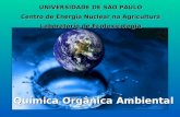 UNIVERSIDADE DE SÃO PAULO Centro de Energia Nuclear na Agricultura Laboratório de Ecotoxicologia Química Orgânica Ambiental.