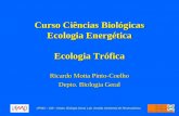 Curso Ciências Biológicas Ecologia Energética Ecologia Trófica Ricardo Motta Pinto-Coelho Depto. Biologia Geral UFMG – ICB – Depto. Biologia Geral, Lab.