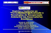 Pinto-Coelho, R.M. (UFMG - Brazil)1 Ferramentas de Avaliação e Tecnologias de Recuperação Ambiental em Reservatórios Brasileiros Ricardo M. Pinto-Coelho.