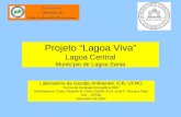Projeto Lagoa Viva Lagoa Central Município de Lagoa Santa Laboratório de Gestão Ambiental, ICB, UFMG Turma de Ecologia Energética 2007 Orientadores: Profs.