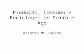 Produção, Consumo e Reciclagem de Ferro e Aço Ricardo MP Coelho.