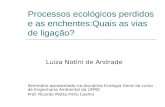 Processos ecológicos perdidos e as enchentes:Quais as vias de ligação? Luiza Notini de Andrade Seminário apresentado na disciplina Ecologia Geral do curso.