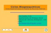 Ciclos Biogeoquímicos Curso Especialização em Gestão de Recursos Hídricos Pinto-Coelho, R.M. Departamento de Biologia Geral Instituto de Ciências Biológicas.
