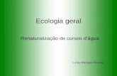 Ecologia geral Renaturalização de cursos dágua Lucas Marques Pessoa.