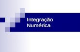 Integração Numérica. Integral O conceito de integral esta ligado ao problema de determinar a área de uma figura plana qualquer. Integral de uma função.