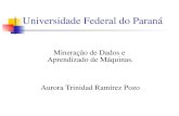 Universidade Federal do Paraná Mineração de Dados e Aprendizado de Máquinas. Aurora Trinidad Ramírez Pozo.