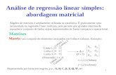 1 Análise de regressão linear simples: abordagem matricial Álgebra de matrizes é amplamente utilizada na estatística. É praticamente uma necessidade na.