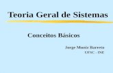 Teoria Geral de Sistemas Conceitos Básicos Jorge Muniz Barreto UFSC - INE.