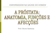Prof. Bruno Barbosa ENFERMAGEM NA SAÚDE DO HOMEM.