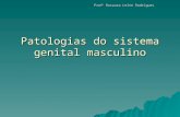Patologias do sistema genital masculino Prof a Rosaura Leite Rodrigues.