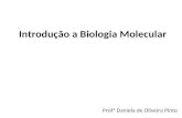 Introdução a Biologia Molecular Profª Daniela de Oliveira Pinto.